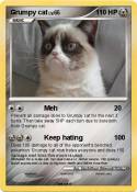 Grumpy cat