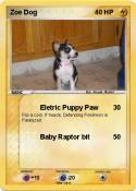 Zoe Dog