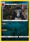 gorilla