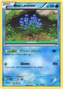 Blue Lavender