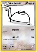 Mine Turtle
