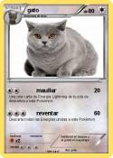 gato