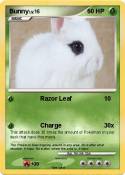 Bunny