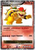 bowser