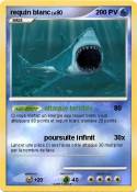 requin blanc