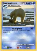 Ours polaire