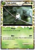 Petit Colibri