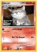LOLCAT
