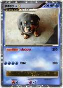 puppy