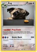 Pug