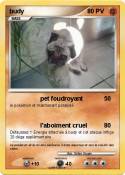 budy