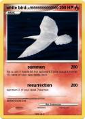 white bird