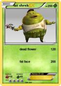 fat shrek