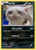 Sad Cat