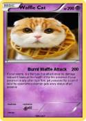 Waffle Cat
