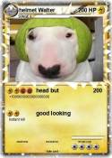 helmet Walter