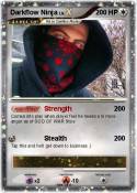 Darkflow Ninja