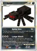 Spider