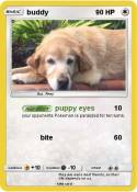 buddy