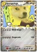 Spongedoge
