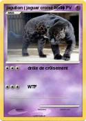 jagulion (