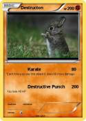 Destructon