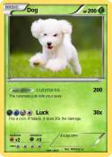 Dog