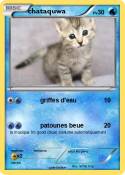 chataquwa