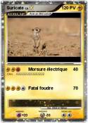 Suricate