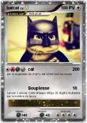 batcat