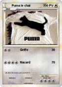Puma le chat