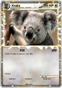 Koala