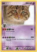 cat