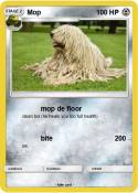 Mop