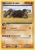 tigre a dent de