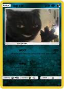 sup cat