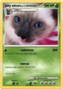 kitty wison
