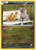 chaton