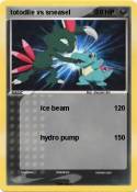 totodile vs