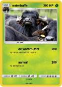 waterbuffel