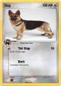 Dog