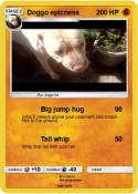 Doggo epicness