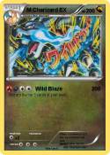 M Charizard