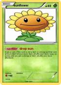 sunflower