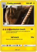 Funky possum
