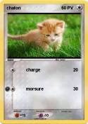 chaton