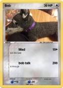 Bob