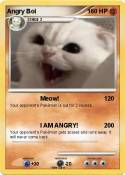 Angry Boi