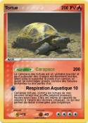 Tortue