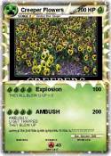 Creeper Flowers
